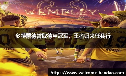 半岛体育官网