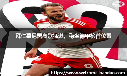 半岛体育公司