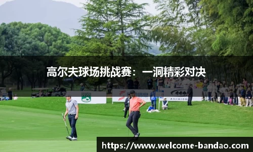 半岛体育公司